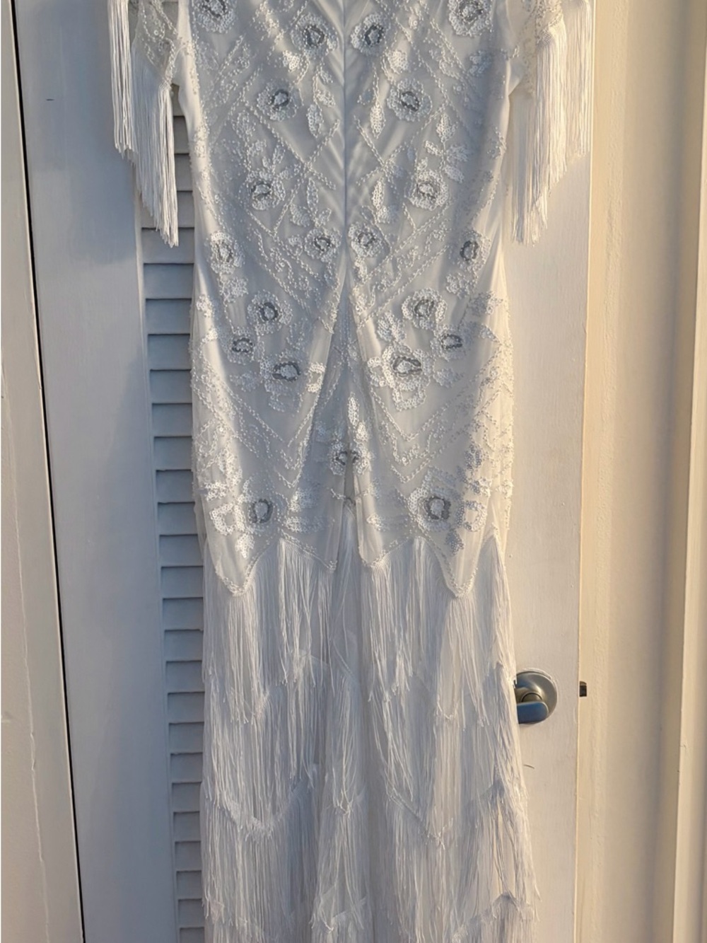 Ivory Beaded Fringe V-Neck Maxi Dress with Floral Appliqué - Picture 7 of 9